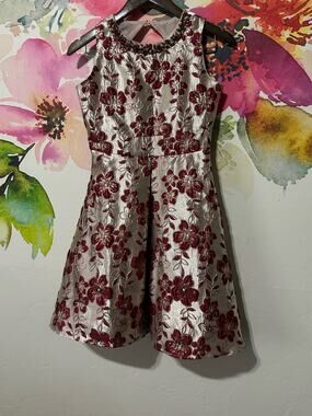 Rare Edition Kids Girls Dress Sparkling Red Floral Gold Embroidered Stones Sz 16
